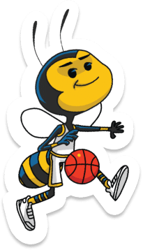 Bee Playing Basketball